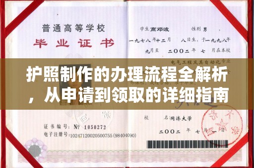 商南护照制作的办理流程全解析，从申请到领取的详细指南